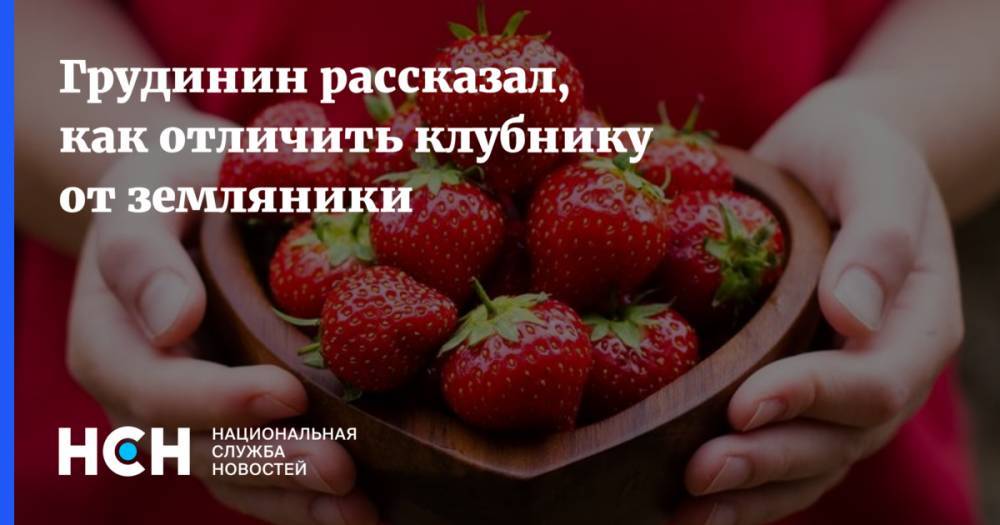 Павел Грудинин - Грудинин рассказал, как отличить клубнику от земляники - nsn.fm - Россия - Московская обл. - Белоруссия