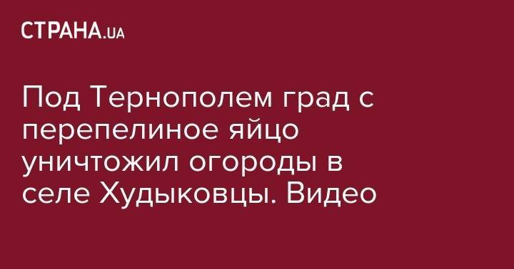 Под Тернополем град с перепелиное яйцо уничтожил огороды в селе Худыковцы. Видео - strana.ua - Украина - Тернопольская обл.