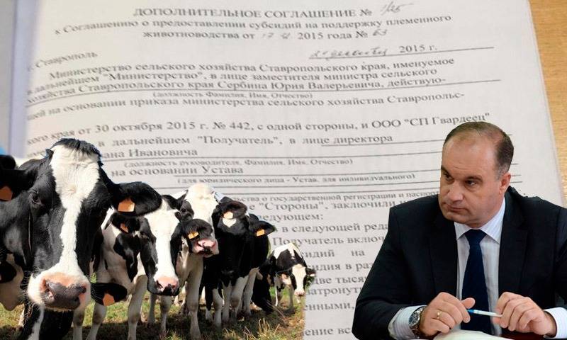 Минсельхоз Ставрополья заподозрили в хищении более 22 млн рублей - bloknot.ru - Ставрополье - Чапаевск