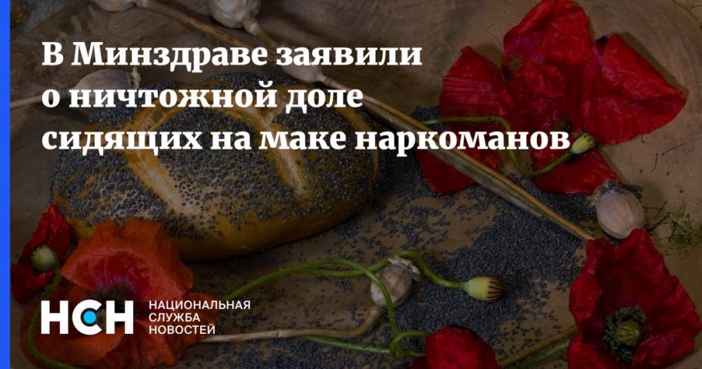 Татьяна Москалькова - Евгений Брюн - В Минздраве заявили о ничтожной доле сидящих на маке наркоманов - nsn.fm - Россия