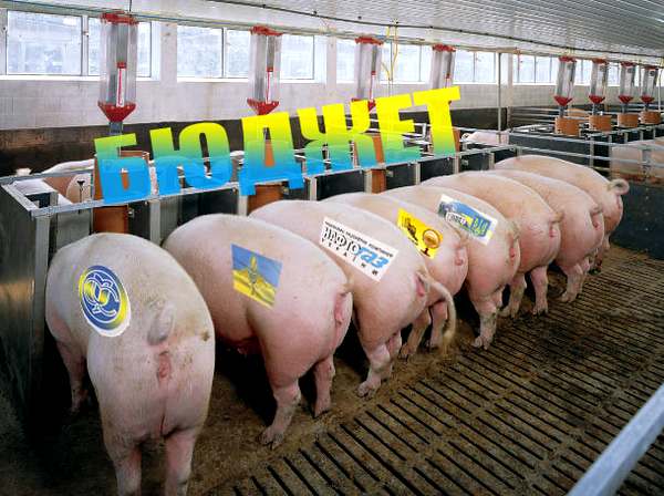 В Греции украсть — значит «ответить», в Украине — украсть означает «не заметить» - argumentua.com - Афины - Греция