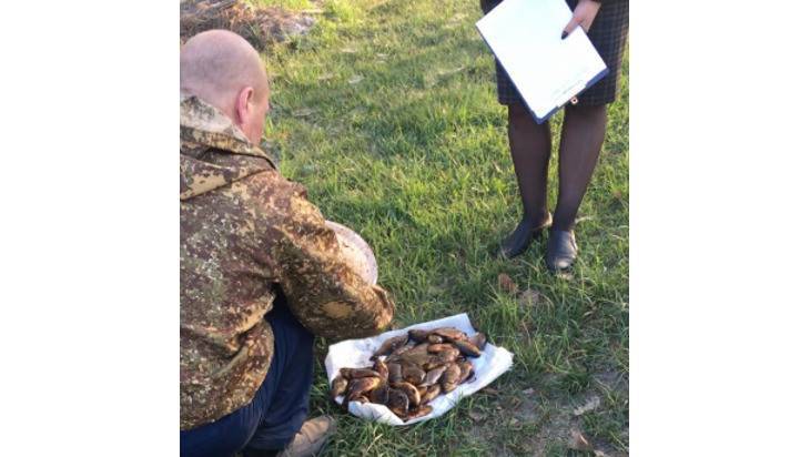 В Карачевском районе поймали трех браконьеров из Орловской области - bragazeta.ru - Орловская обл. - Брянская обл.