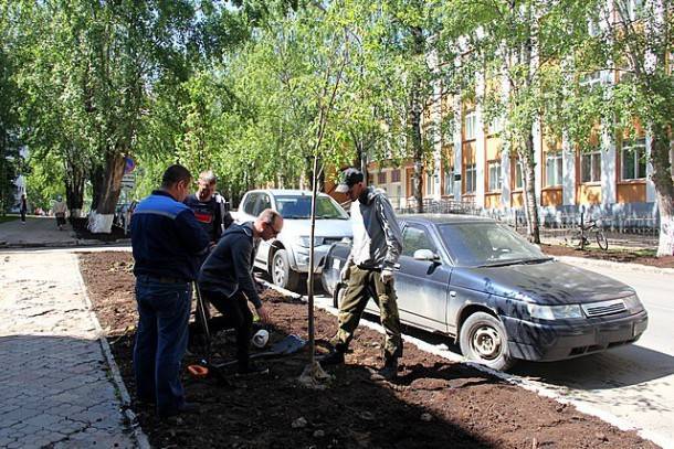 Александр Попов - Валерий Козлов - В Сыктывкаре высадят липы и клены - bnkomi.ru - Сыктывкар