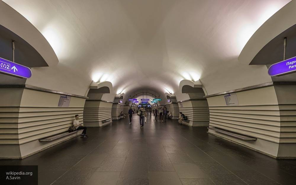 Частичное отключение света произошло на станции «Невский проспект» в Петербурге - newinform.com