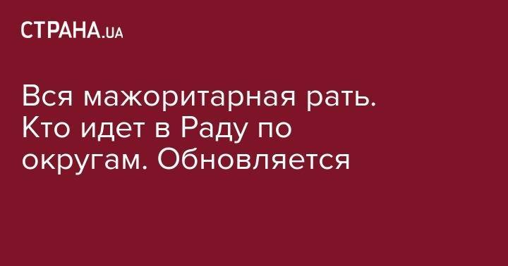 Владимир Зеленский - Петр Порошенко - Игорь Коломойский - Ринат Ахметов - Вся мажоритарная рать. Кто идет в Раду по округам. Обновляется - strana.ua - Винницкая обл.