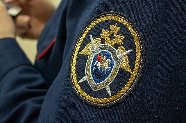 Следователи возбудили дело после массовой драки у метро в Москве - aif.ru - Москва - Пенза