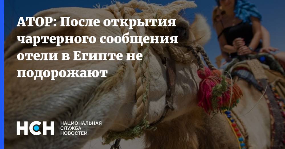 Майя Ломидзе - АТОР: После открытия чартерного сообщения отели в Египте не подорожают - nsn.fm - Россия - Египет