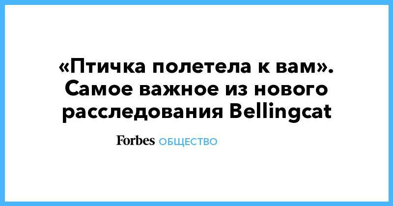 «Птичка полетела к вам». Самое важное из нового расследования Bellingcat - forbes.ru - Украина - ДНР - ЛНР - Малайзия