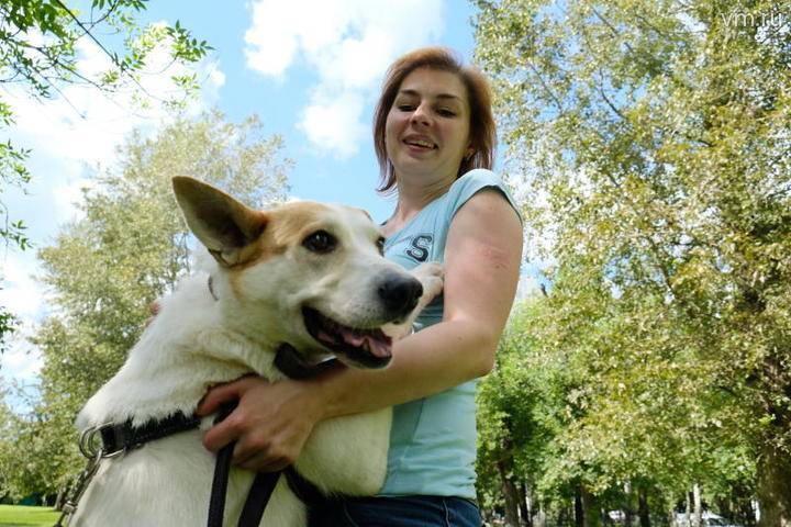 Москвичи рассказали, убирают ли они за своими собаками во время выгула - vm.ru