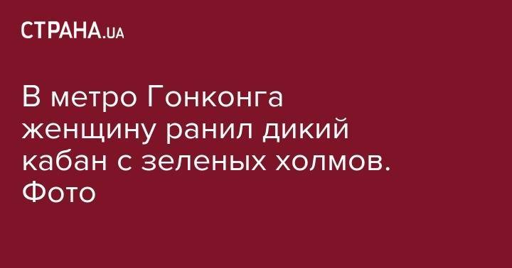 В метро Гонконга женщину ранил дикий кабан с зеленых холмов. Фото - strana.ua - Китай - Гонконг