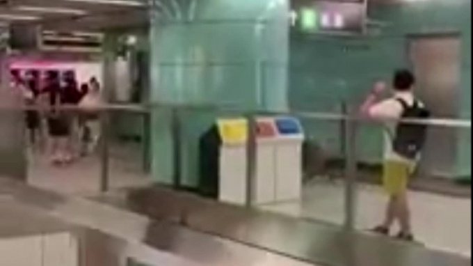 Видео из Гонконга: Дикий кабан набросился на женщину в метро - piter.tv - Гонконг