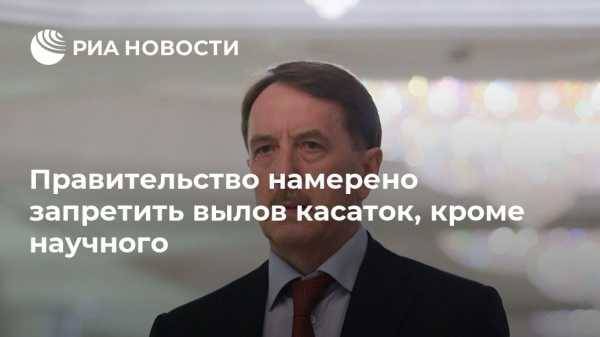 Владимир Путин - Алексей Гордеев - Правительство намерено запретить вылов касаток, кроме научного - vestirossii.com - Москва - Россия - Китай - Владивосток