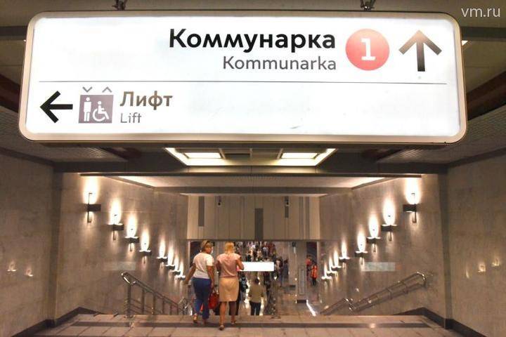 Станции нескольких линий метро разгрузятся после открытия нескольких платформ в ТиНАО - vm.ru - Москва - округ Троицкий и Новомосковский - Москва