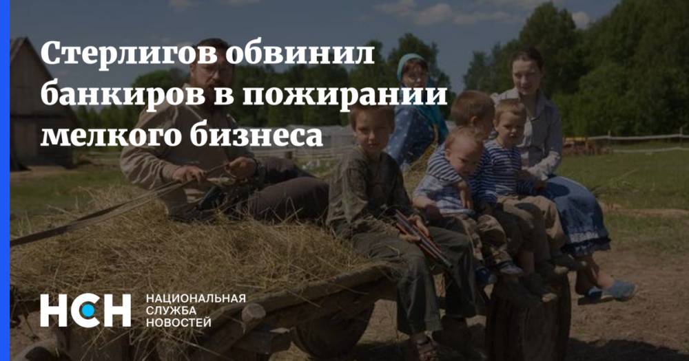 Василий Бойко-Великий - Стерлигов обвинил банкиров в пожирании мелкого бизнеса - nsn.fm - Россия