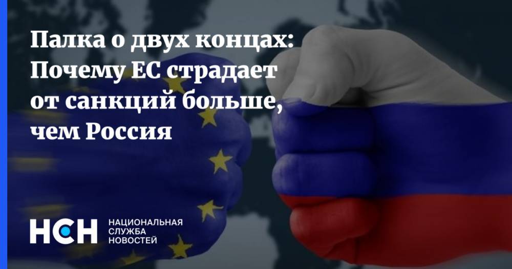 Владимир Путин - Александр Рар - Палка о двух концах: Почему ЕС страдает от санкций больше, чем Россия - nsn.fm - Россия - Германия