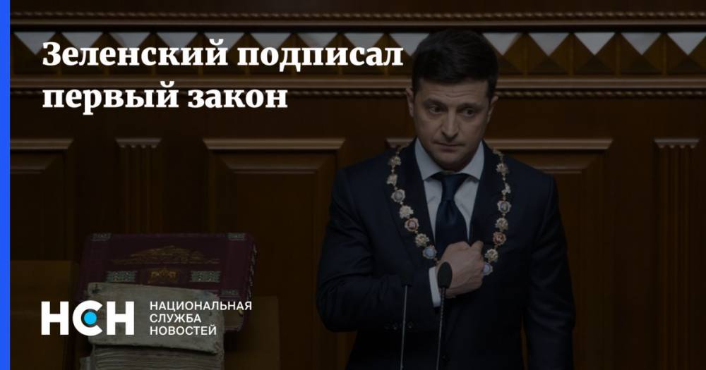 Владимир Зеленский - Дмитрий Спивак - Зеленский подписал первый закон - nsn.fm - Украина - Германия - Франция