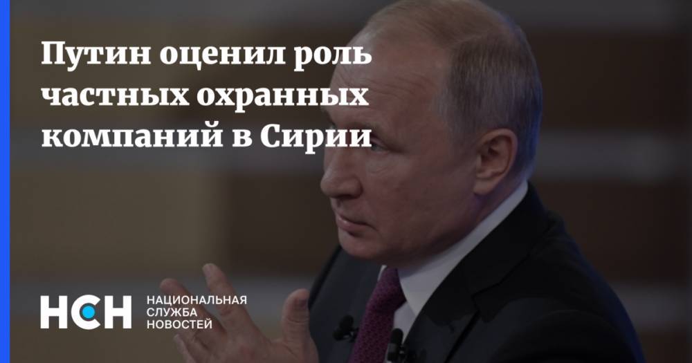 Владимир Путин - Борис Рожин - Путин оценил роль  частных охранных компаний в Сирии - nsn.fm - Россия - Сирия