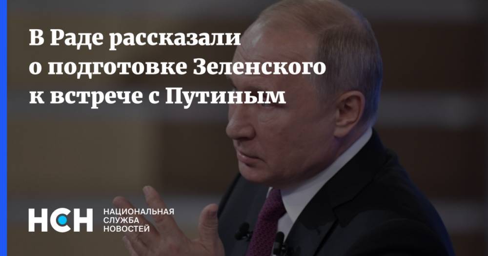 Владимир Зеленский - Владимир Путин - Михаил Поплавский - В Раде рассказали о подготовке Зеленского к встрече с Путиным - nsn.fm - Россия - Украина - Киев - Крым - с. Путин