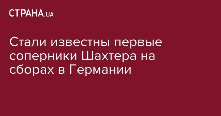 Иван Ордец - Стали известны первые соперники Шахтера на сборах в Германии - strana.ua - Москва - Украина - Германия - Донецк - Болгария - Печерск - София