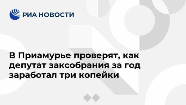 В Приамурье проверят, как депутат заксобрания за год заработал три копейки - vestirossii.com - Россия - Амурская обл. - Благовещенск