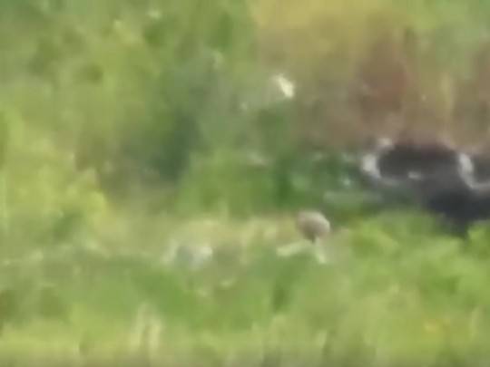 Украинские бойцы отправили вражеского снайпера прямиком в преисподнюю, видео - akcenty.com.ua - Россия - Украина - ДНР - Донецк