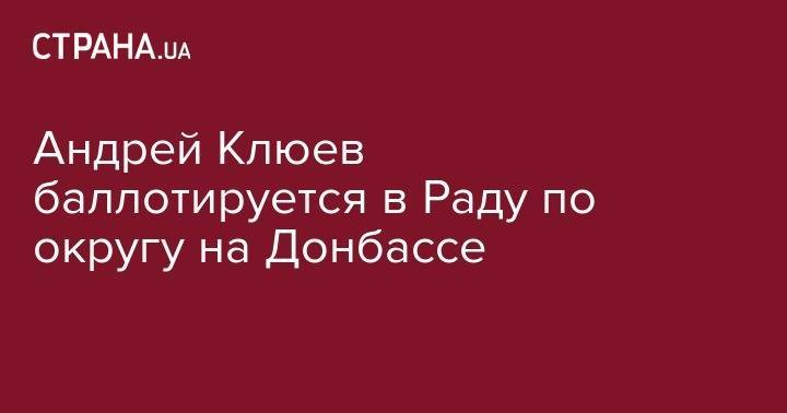 Виктор Янукович - Андрей Клюев - Андрей Клюев баллотируется в Раду по округу на Донбассе - strana.ua - обл. Донецкая - Артемовск