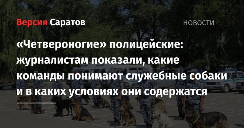 «Четвероногие» полицейские: журналистам показали, какие команды понимают служебные собаки и в каких условиях они содержатся - nversia.ru - Россия - Саратов