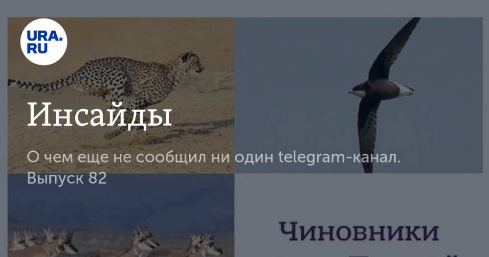 Инсайды - ura.news - Екатеринбург - Тюмень - Челябинск - Курган