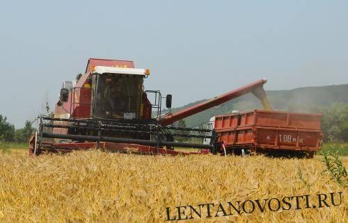 Российские зерновые эксперты снижают перспективы экспорта пшеницы - lentanovosti.ru - Россия - Ставрополье