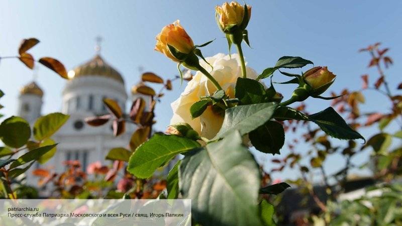 Владимир Легойд - РПЦ надеется на благополучное и быстрое разрешение конфликта в Грузии - politros.com - Грузия - Протесты