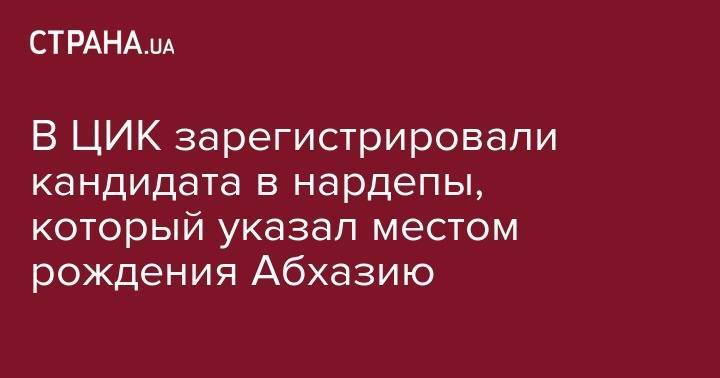 В ЦИК зарегистрировали кандидата в нардепы, который указал местом рождения Абхазию - strana.ua - Россия - Украина - Киев - Грузия - Апсны
