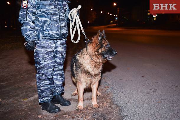 Сергей Паршуков - Четвероногие полицейские: как семилетняя овчарка Астра ищет закладки наркотиков - bnkomi.ru - Россия - респ. Коми