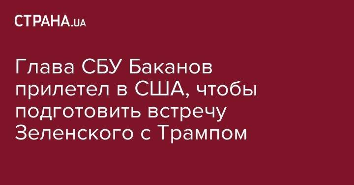 Дональд Трамп - Владимир Зеленский - Джордж Кент - Иван Баканов - Глава СБУ Баканов прилетел в США, чтобы подготовить встречу Зеленского с Трампом - strana.ua - США - Украина - Вашингтон