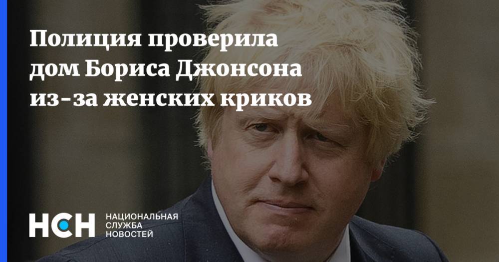Борис Джонсон - Полиция проверила дом Бориса Джонсона из-за женских криков - nsn.fm - Англия