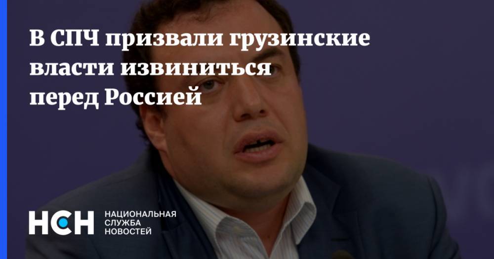 Владимир Путин - Александр Брод - В СПЧ призвали грузинские власти извиниться перед Россией - nsn.fm - Россия - Грузия