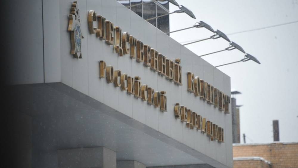 Александр Бастрыкин - Студента и журналиста "запытали" до признания? Московские полицейские попали под подозрение СК - tsargrad.tv - Россия