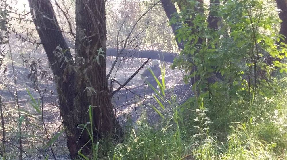 В Димитровграде отдыхающие помогали пожарным тушить городской пляж - ulpravda.ru - Ульяновская - Димитровград