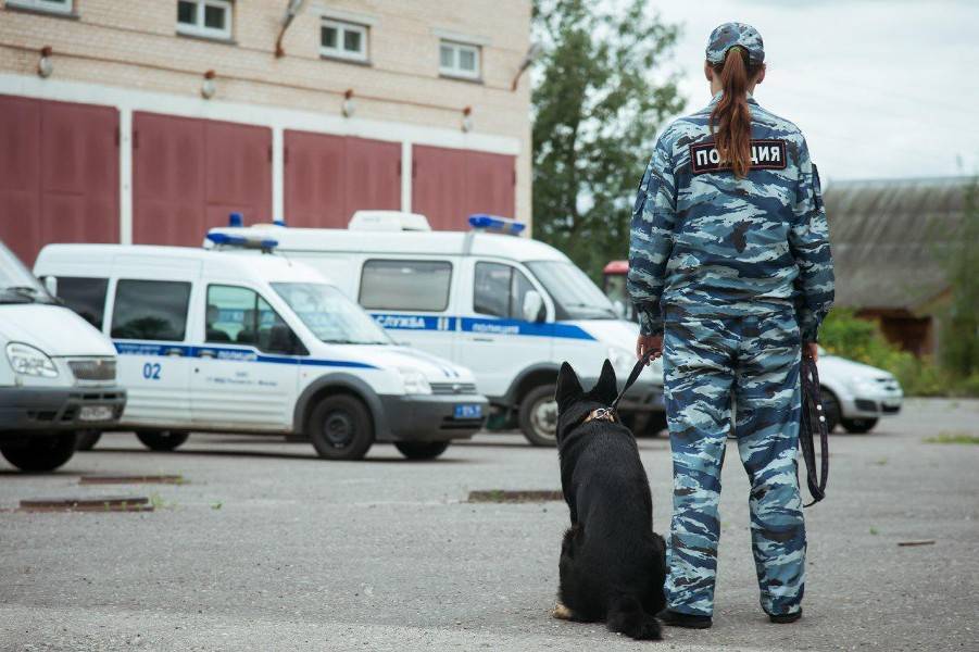 Названы регионы с самым высоким уровнем наркомании - m24.ru - Россия - Московская обл. - Челябинская обл. - респ. Чечня - респ. Алания - Мордовия - окр.Ненецкий - Архангельская обл. - респ. Хакасия