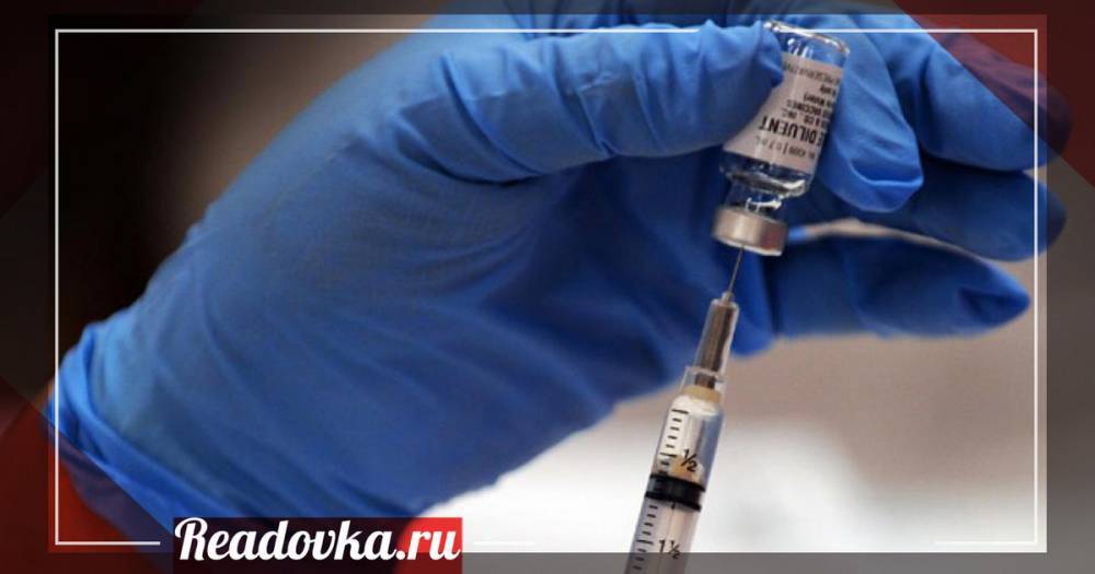 В Смоленске закончились вакцины от бешенства - readovka.ru - Смоленск - Нападение