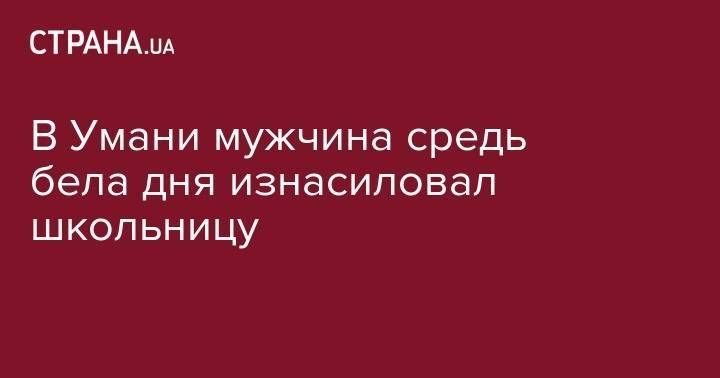 Вячеслав Аброськин - В Умани мужчина средь бела дня изнасиловал школьницу - strana.ua - Украина - Винницкая обл. - Черкасская обл. - Мариуполь - Умань