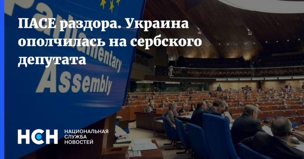 Павел Климкин - ПАСЕ раздора. Украина ополчилась на сербского депутата - nsn.fm - Россия - Украина - Киев