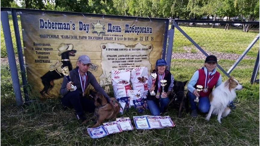 Кировчане стали лучшими по национальным видам дрессировки на чемпионате ПФО - 1istochnik.ru - Россия - Набережные Челны - Кировская обл.