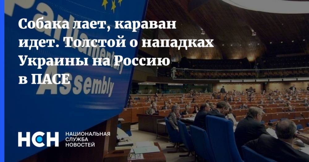 Петр Порошенко - Алексей Гончаренко - Собака лает, караван идет. Толстой о нападках Украины на Россию в ПАСЕ - nsn.fm - Россия - Украина - Сербия