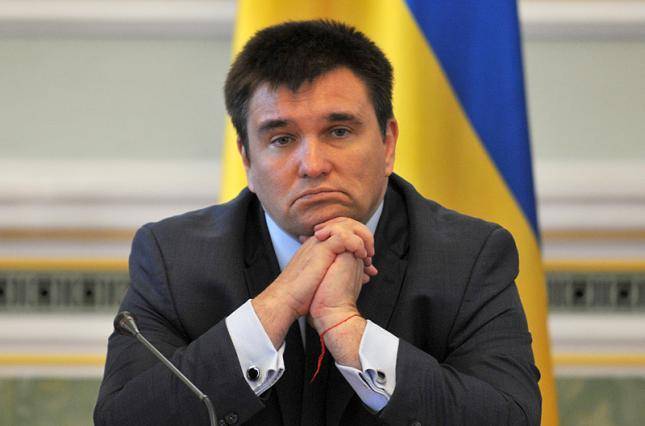Евгений Мураев - Европа сочла 5 лет нытья Климкина слишком долгим сроком - news-front.info - Россия - Украина - Киев