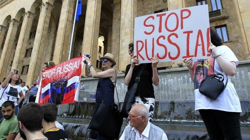 Владимир Путин - Натия Турнава - В Грузии официально признали «шоком» последствия русофобских протестов - news-front.info - Россия - Грузия