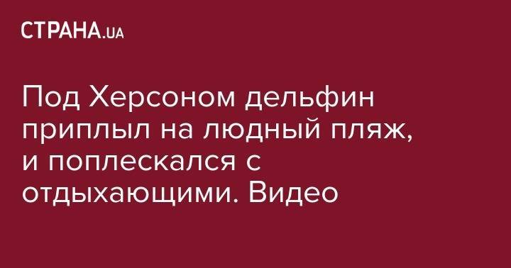 Под Херсоном дельфин приплыл на людный пляж, и поплескался с отдыхающими. Видео - strana.ua - Украина - Крым - Херсонская обл.