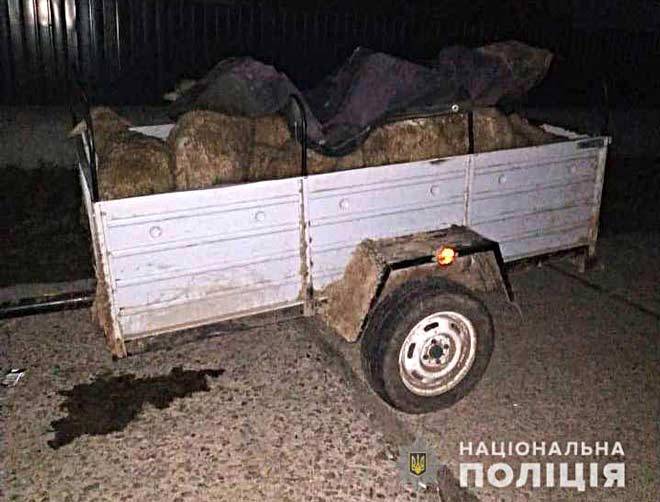 Под Измаилом поймали воров, укравших стадо овец - izmacity.com - район Болградский
