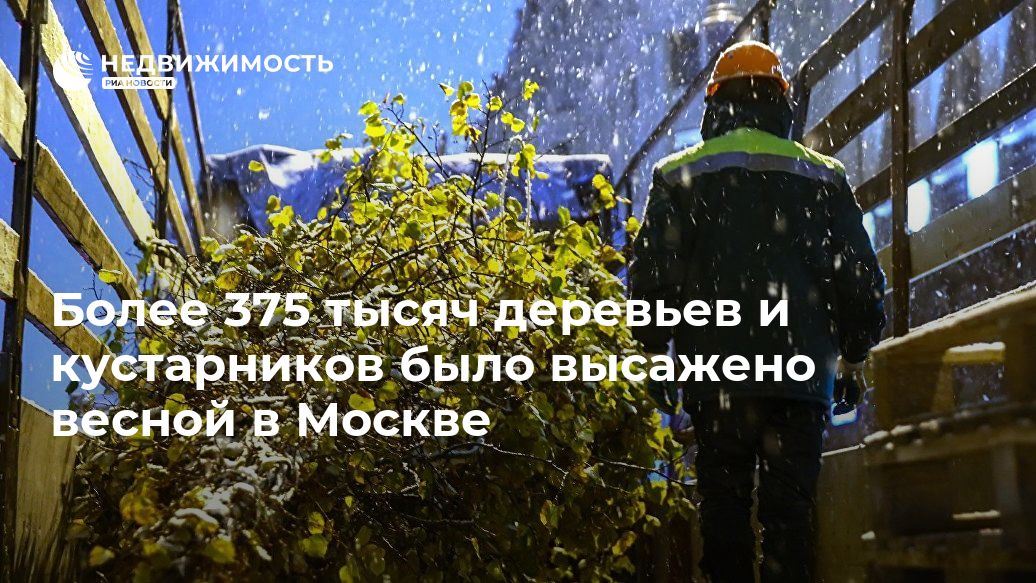 Петр Бирюков - Более 375 тысяч деревьев и кустарников было высажено весной в Москве - realty.ria.ru - Москва - Москва