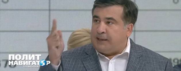 Михаил Саакашвили - Нино Бурджанадзе - Бурджанадзе объяснила, зачем Саакашвили нужна Украина | Политнавигатор - politnavigator.net - Москва - Украина - Грузия