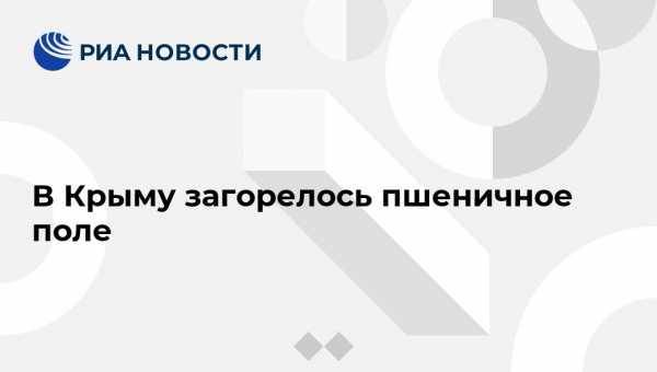 Сергей Шахов - В Крыму загорелось пшеничное поле - vestirossii.com - Крым - Симферополь - р-н Кировский